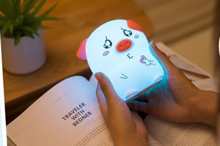 觸感舒適的硅膠外殼LED燈 觸感舒適的硅膠外殼LED燈